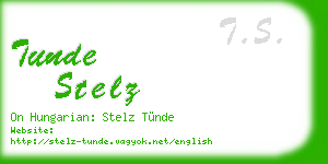 tunde stelz business card